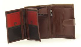 Pánská peněženka Pierre Cardin E-batoh