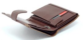 Pánská peněženka Pierre Cardin E-batoh
