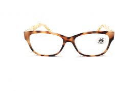 Dioptrické brýle SV2045 +2,00 brown flex E-batoh