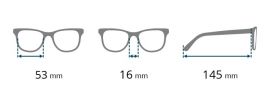 Dioptrické brýle RE020-A +2,00 flex BRILO E-batoh